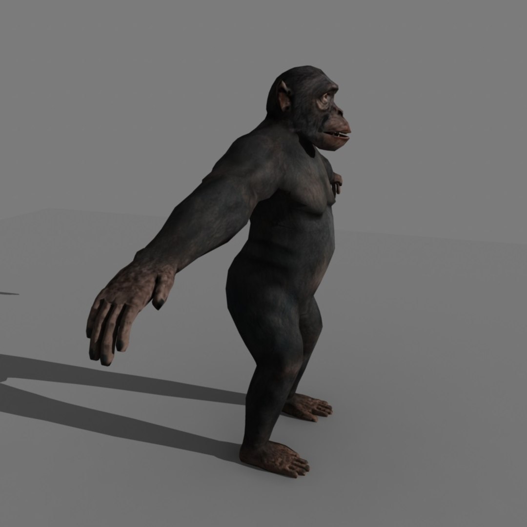 3d realistic rigged