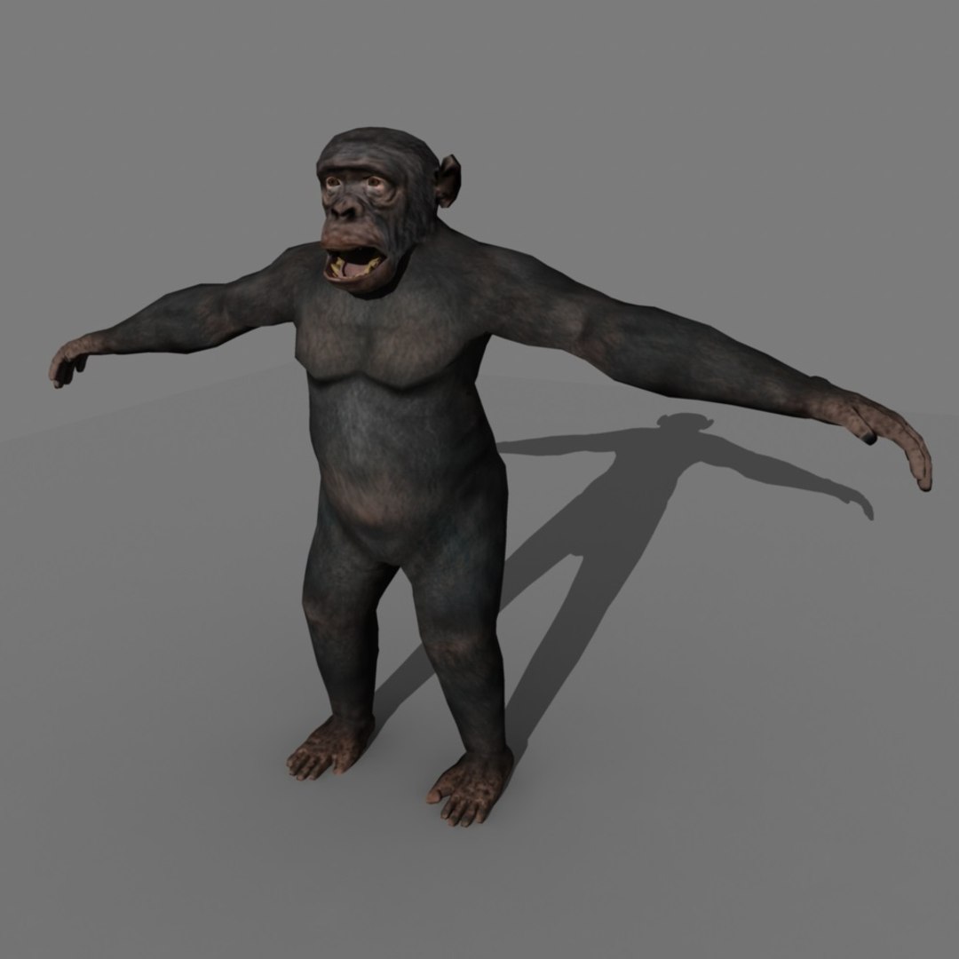 3d realistic rigged
