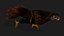 Kestrel-B9