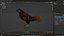 Kestrel-B9