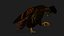 Kestrel-B9