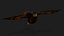 Kestrel-B9
