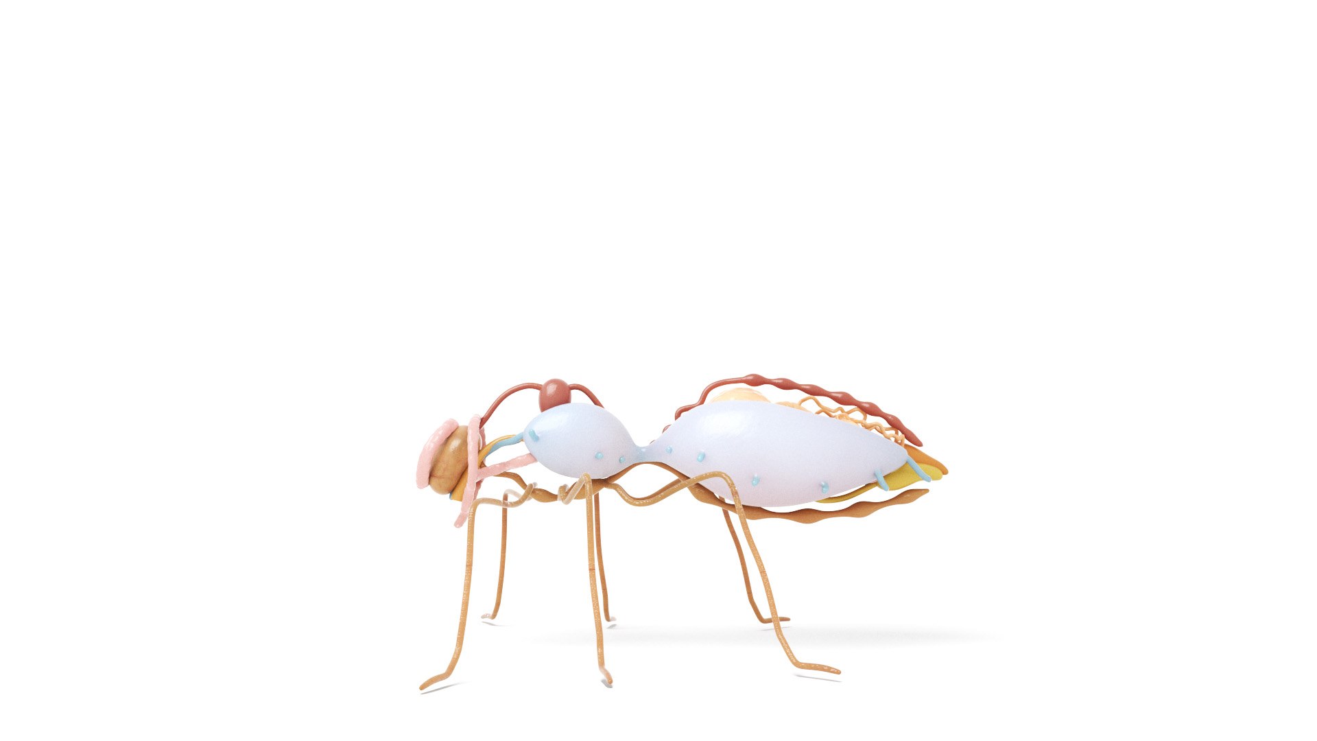 3D Full Bee Anatomy Static model https://p.turbosquid.com/ts-thumb/DQ/T8sBUC/mM/honey_bee_anatomy0001/jpg/1657532045/1920x1080/fit_q87/796beb84a6243ba8375bcb06c5dd51688a6020c3/honey_bee_anatomy0001.jpg