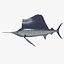 Indo-Pacific sailfish