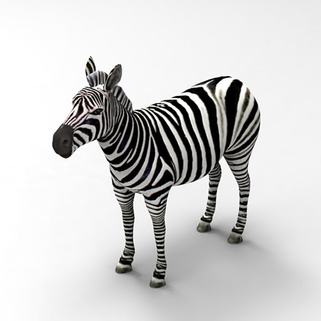 3D zebra animals beast - TurboSquid 1406088