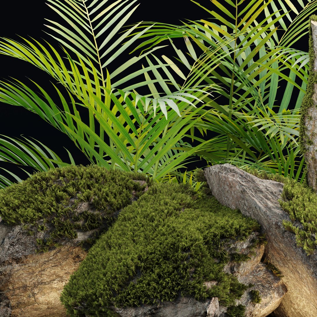Mossy Rocks and Tropical Plants 3D Model Realistic Nature Asset 3D model https://p.turbosquid.com/ts-thumb/DQ/bTnCxu/Mh/4/jpg/1742286466/1920x1080/fit_q87/d9da459a5360ed3eb50c90c3b913b09f6240a347/4.jpg