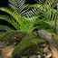 Modèle 3D de rochers moussus et de plantes tropicales : un atout naturel réaliste