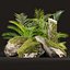 Modèle 3D de rochers moussus et de plantes tropicales : un atout naturel réaliste