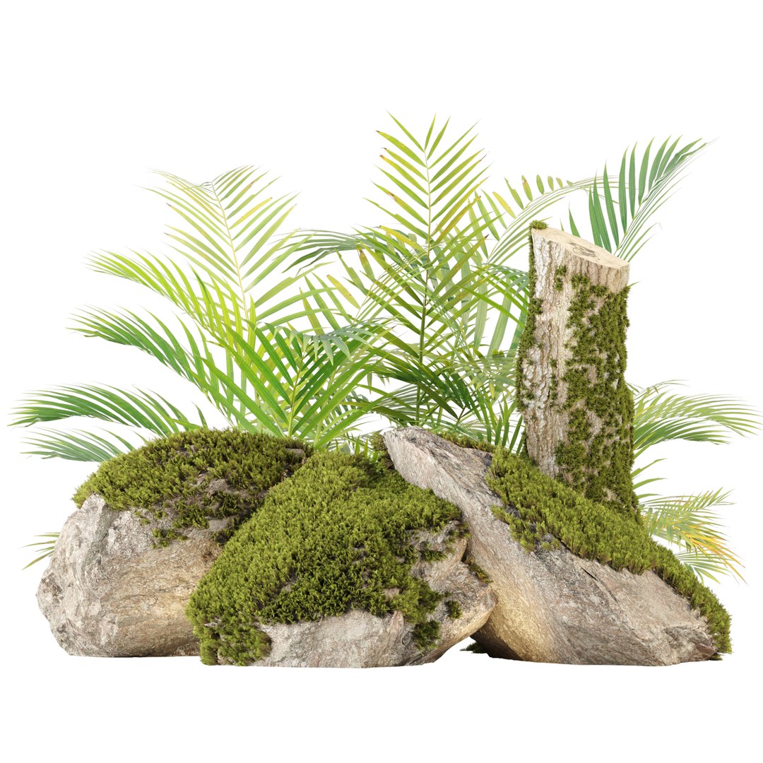 Mossy Rocks and Tropical Plants 3D Model Realistic Nature Asset 3D model https://p.turbosquid.com/ts-thumb/DQ/bTnCxu/hf/0000/jpg/1742549978/1920x1080/fit_q87/dc074a9febc87cd6b17ada57abc7dae602794637/0000.jpg