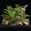 Modèle 3D de rochers moussus et de plantes tropicales : un atout naturel réaliste