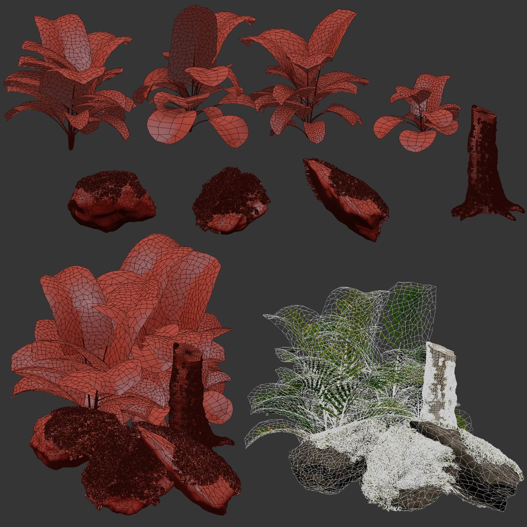 Mossy Rocks and Tropical Plants 3D Model Realistic Nature Asset 3D model https://p.turbosquid.com/ts-thumb/DQ/bTnCxu/kx/8/jpg/1742286467/1920x1080/fit_q87/b1c091cb63d67fc337e8ada2b92dbdb12b523f53/8.jpg