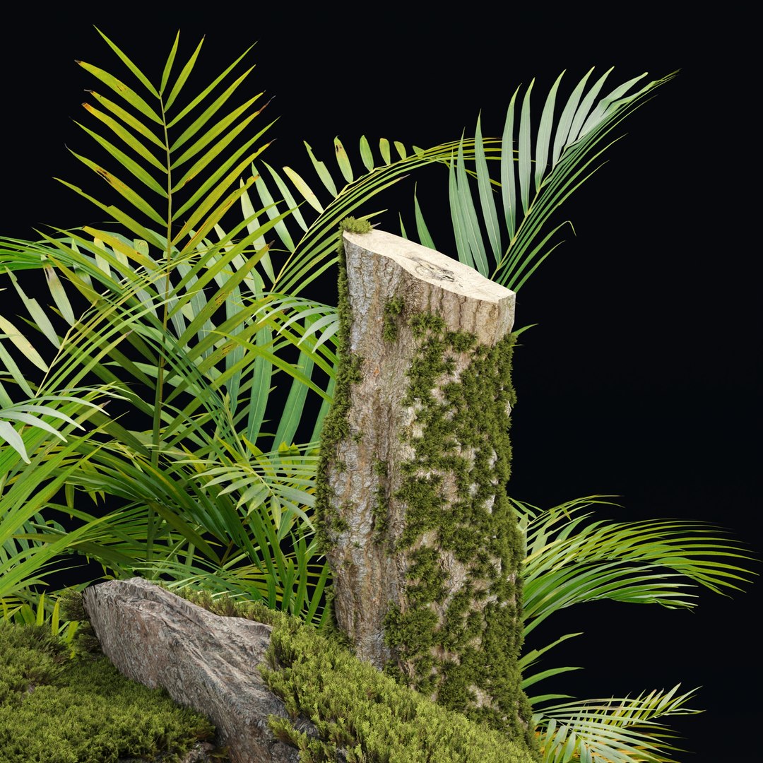 Mossy Rocks and Tropical Plants 3D Model Realistic Nature Asset 3D model https://p.turbosquid.com/ts-thumb/DQ/bTnCxu/og/3/jpg/1742286466/1920x1080/fit_q87/7a312ce7621c7258a23fad9d51b4a4cc4d3f0046/3.jpg