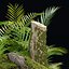 Modèle 3D de rochers moussus et de plantes tropicales : un atout naturel réaliste