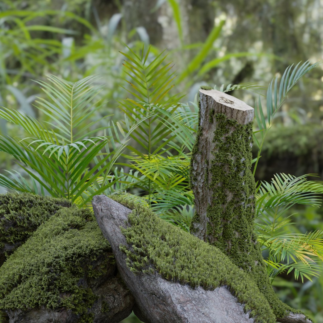 Mossy Rocks and Tropical Plants 3D Model Realistic Nature Asset 3D model https://p.turbosquid.com/ts-thumb/DQ/bTnCxu/pF/untitled/jpg/1742286467/1920x1080/fit_q87/68089aca50e2215fb68137b83f980a85c21ba16a/untitled.jpg