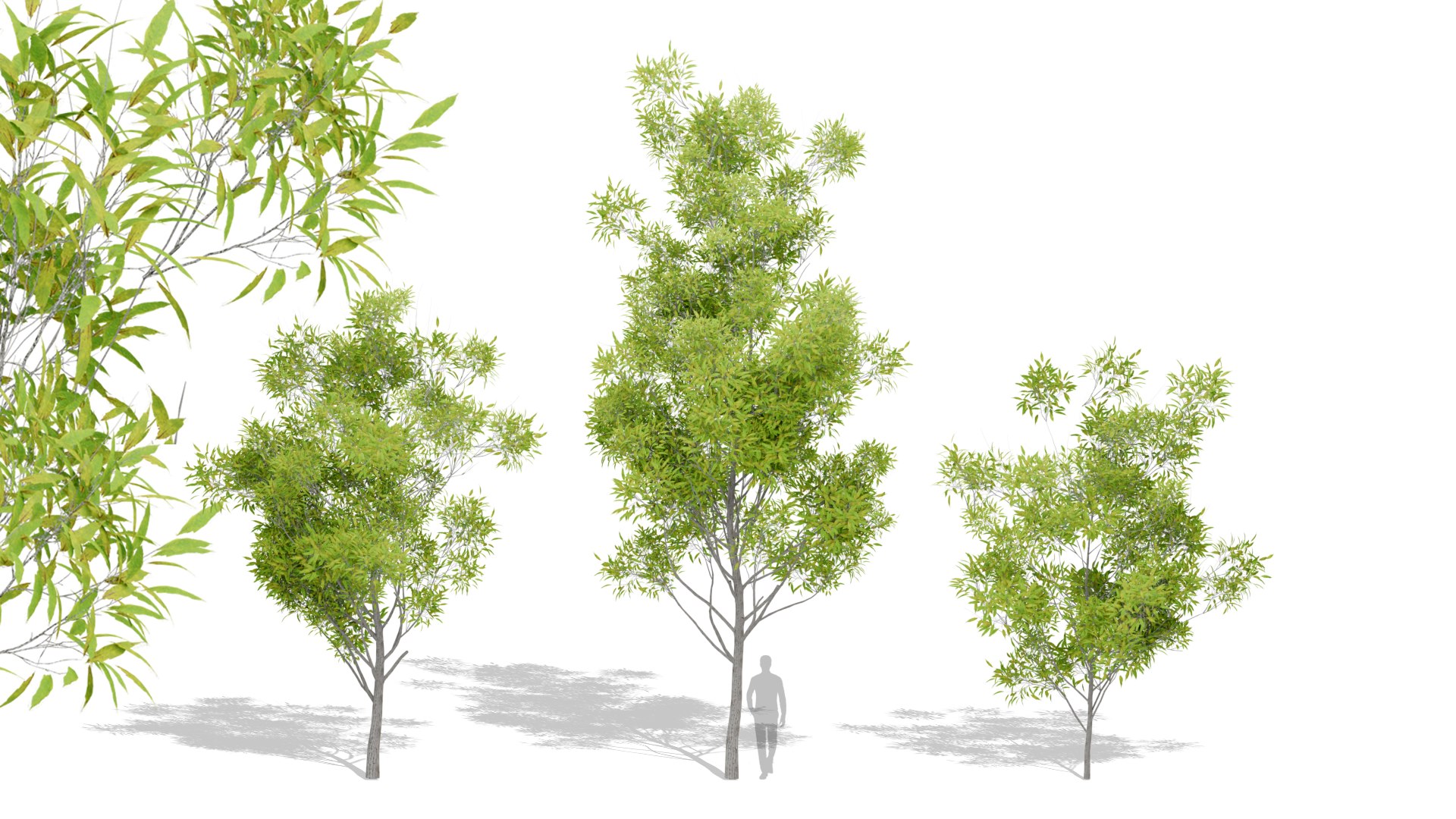 3D Nature Tree - TurboSquid 2108108