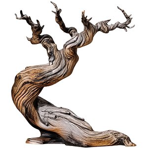 Decorative Old Twisted Weathered Tree with Gnarled Branches 3D model 3D