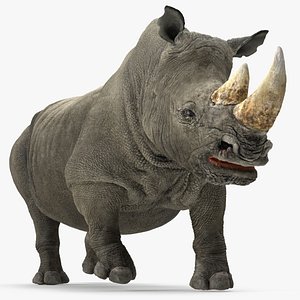3D rhino rigged model