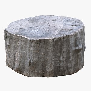 Scanned Stump 02