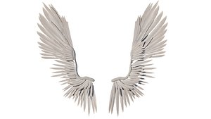 wings Rig 3D