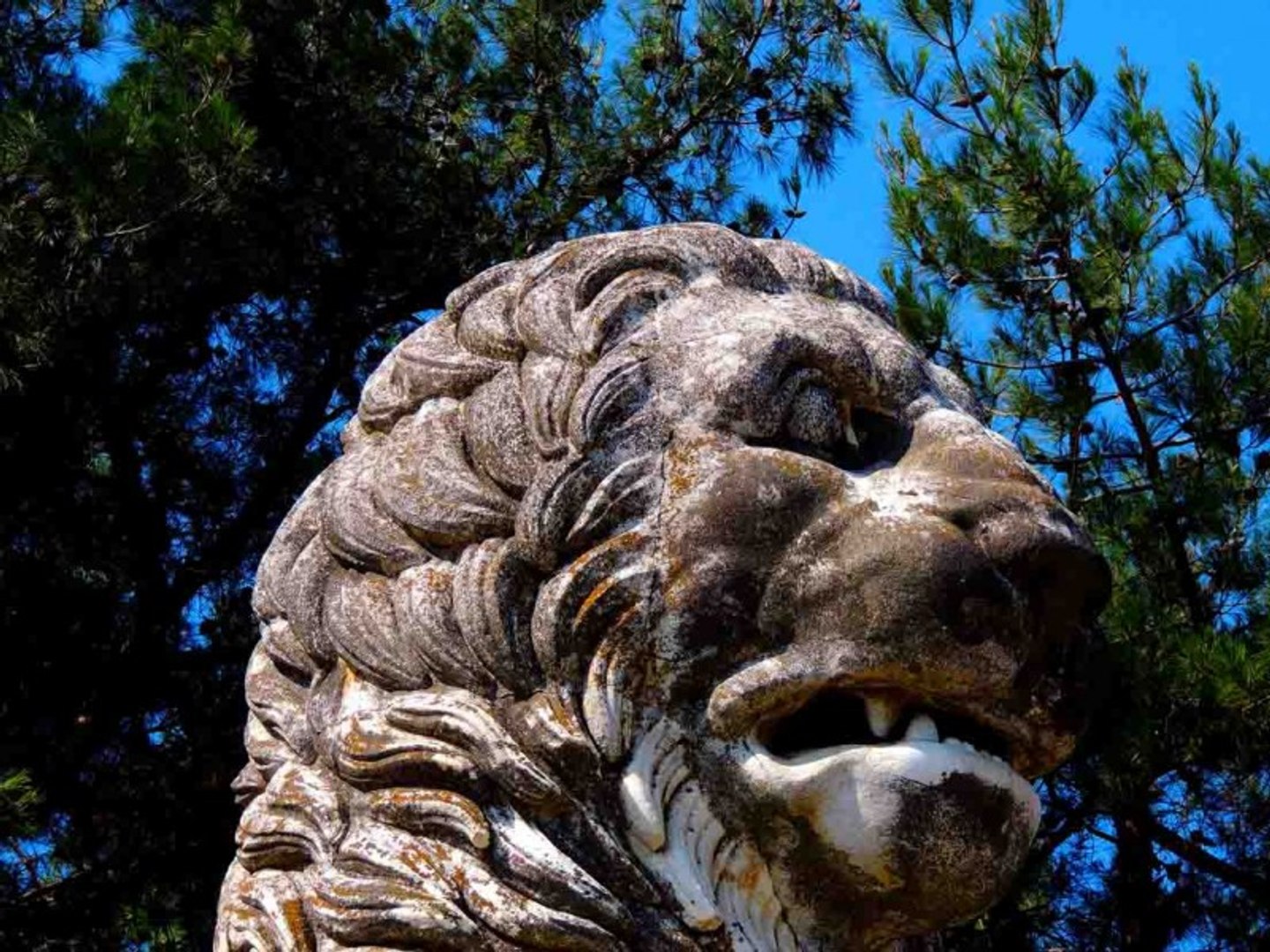 3D lion amphipolis https://p.turbosquid.com/ts-thumb/DQ/xPF7fB/dDXrbpn1/lionofamphipolis_21/jpg/1501957060/1920x1080/fit_q87/c6b83ade4278ce1c2493b113ac520b5d99fc33e8/lionofamphipolis_21.jpg