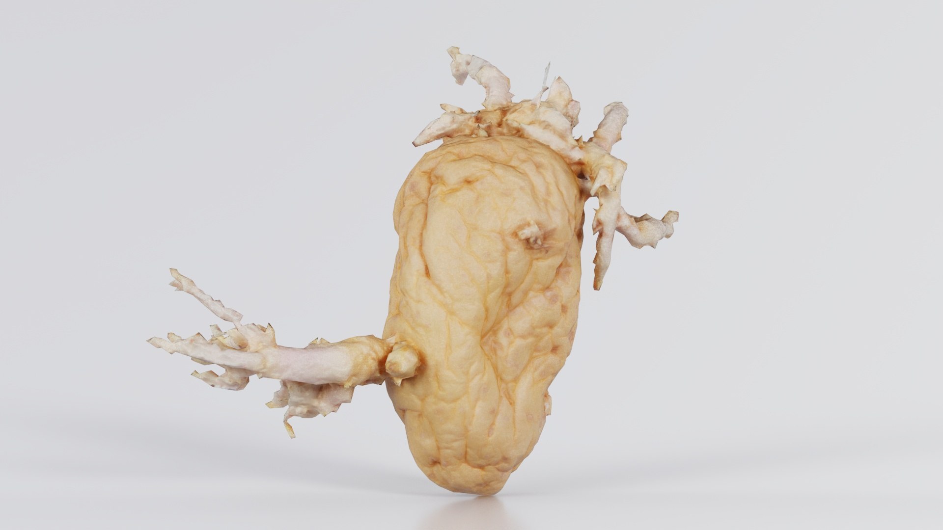 Shriveled Potatoe 7 Remastered 3D https://p.turbosquid.com/ts-thumb/DQ/yIT1aH/C7/shriveled_potatoe_7_01/jpg/1740367715/1920x1080/fit_q87/cb3901c142732964e93200c1770f28eaf9a27c48/shriveled_potatoe_7_01.jpg