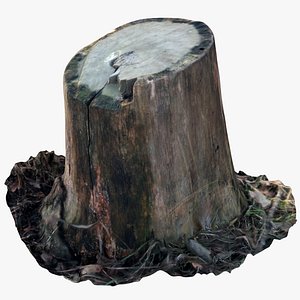 3D oak stump 3 model