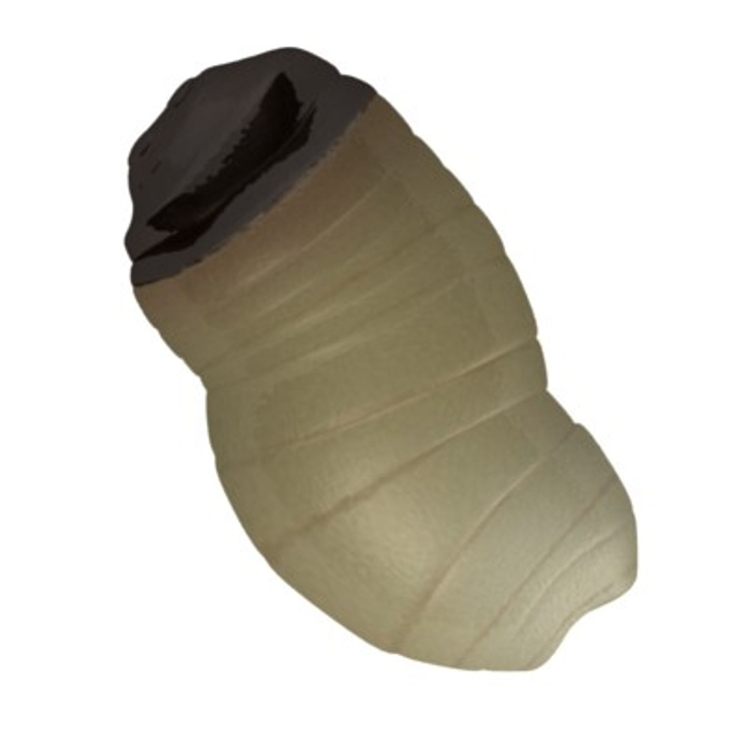 worm 3d model https://p.turbosquid.com/ts-thumb/DR/F6mKhy/7Rcw5PX9/worm6b/jpg/1282655240/1920x1080/fit_q87/033f142e069f2e83fc933db698a62e54af0828d0/worm6b.jpg