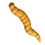 worms