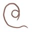 worms