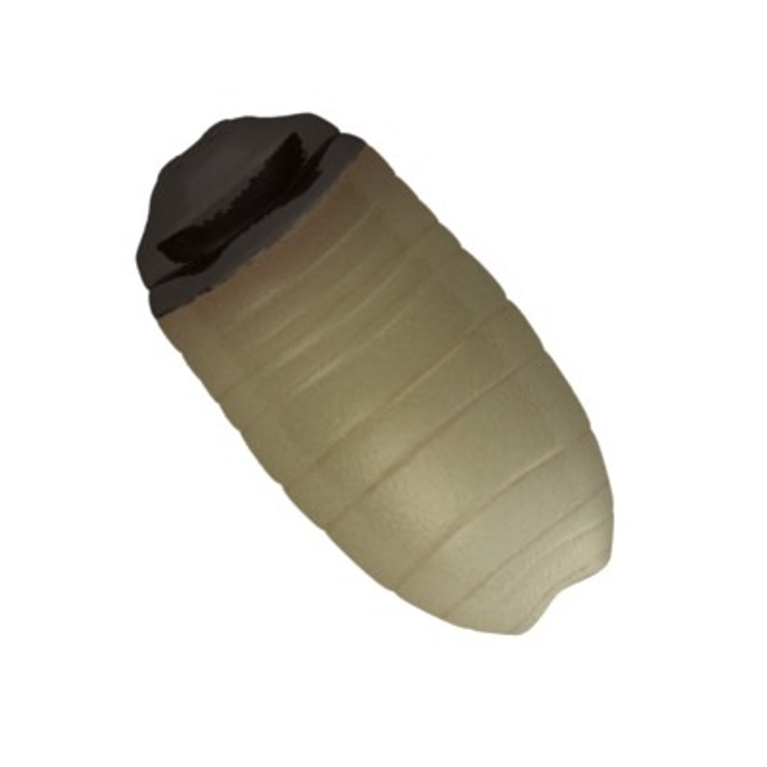 worm 3d model https://p.turbosquid.com/ts-thumb/DR/F6mKhy/oaiu5566/worm6/jpg/1282655240/1920x1080/fit_q87/e3c31afb2f4c4ac8e7dc54b9f19ca6c041e32ba9/worm6.jpg