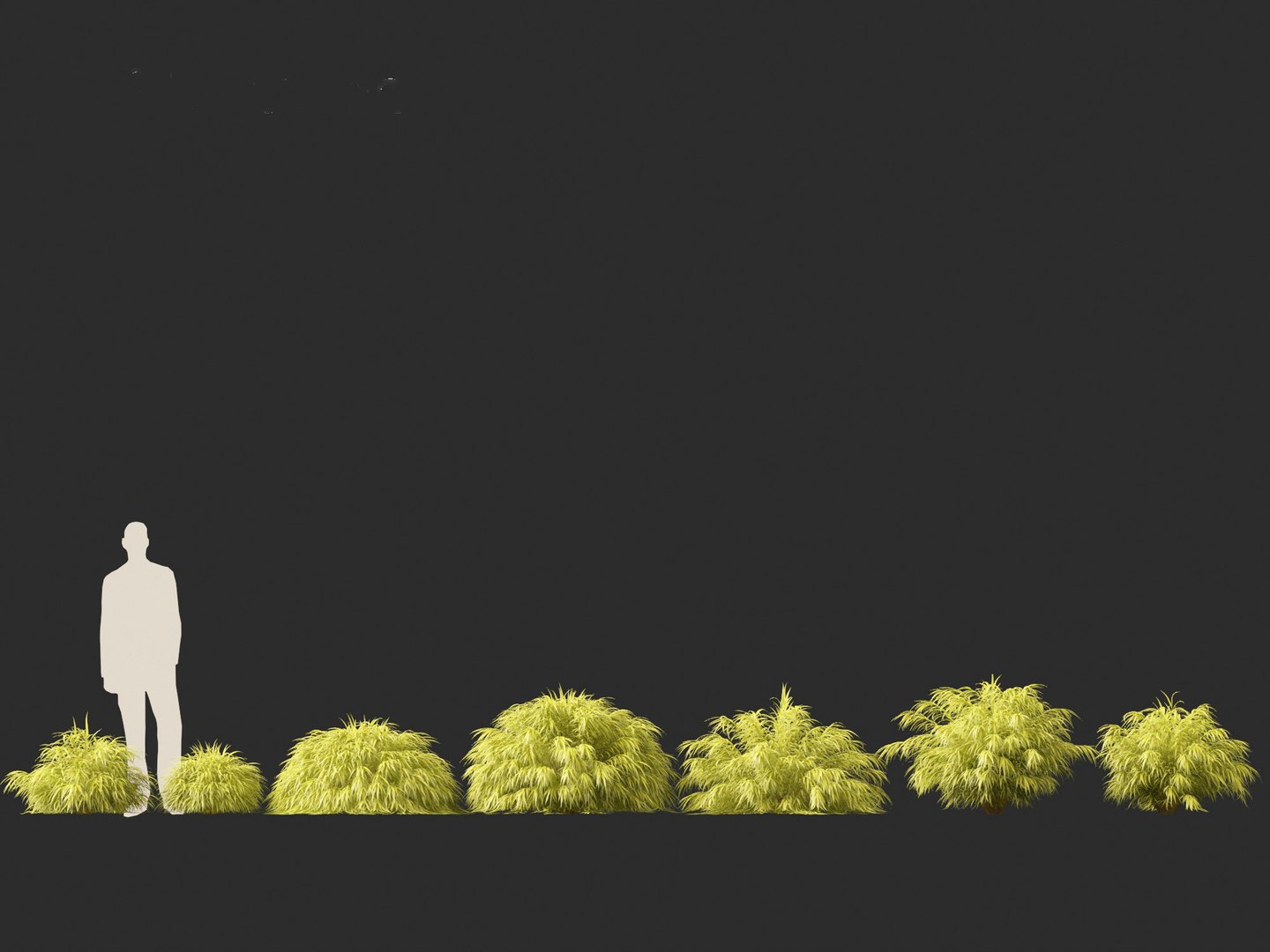Hakonechloa macra - Green Forest Grass model https://p.turbosquid.com/ts-thumb/DR/Hzx7pv/PO/hakonechloamacra012/jpg/1693976561/1920x1080/fit_q87/9971a5e5514b4deebae980acae93257fdaa8f006/hakonechloamacra012.jpg