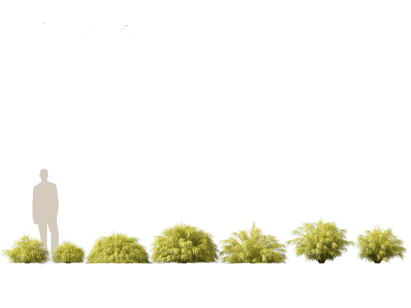Hakonechloa macra - Green Forest Grass model https://p.turbosquid.com/ts-thumb/DR/Hzx7pv/tV/hakonechloamacra011/jpg/1693976558/1920x1080/fit_q87/8c82ed9f43eb0f0ba04f7af392beaf1a79eb36a8/hakonechloamacra011.jpg