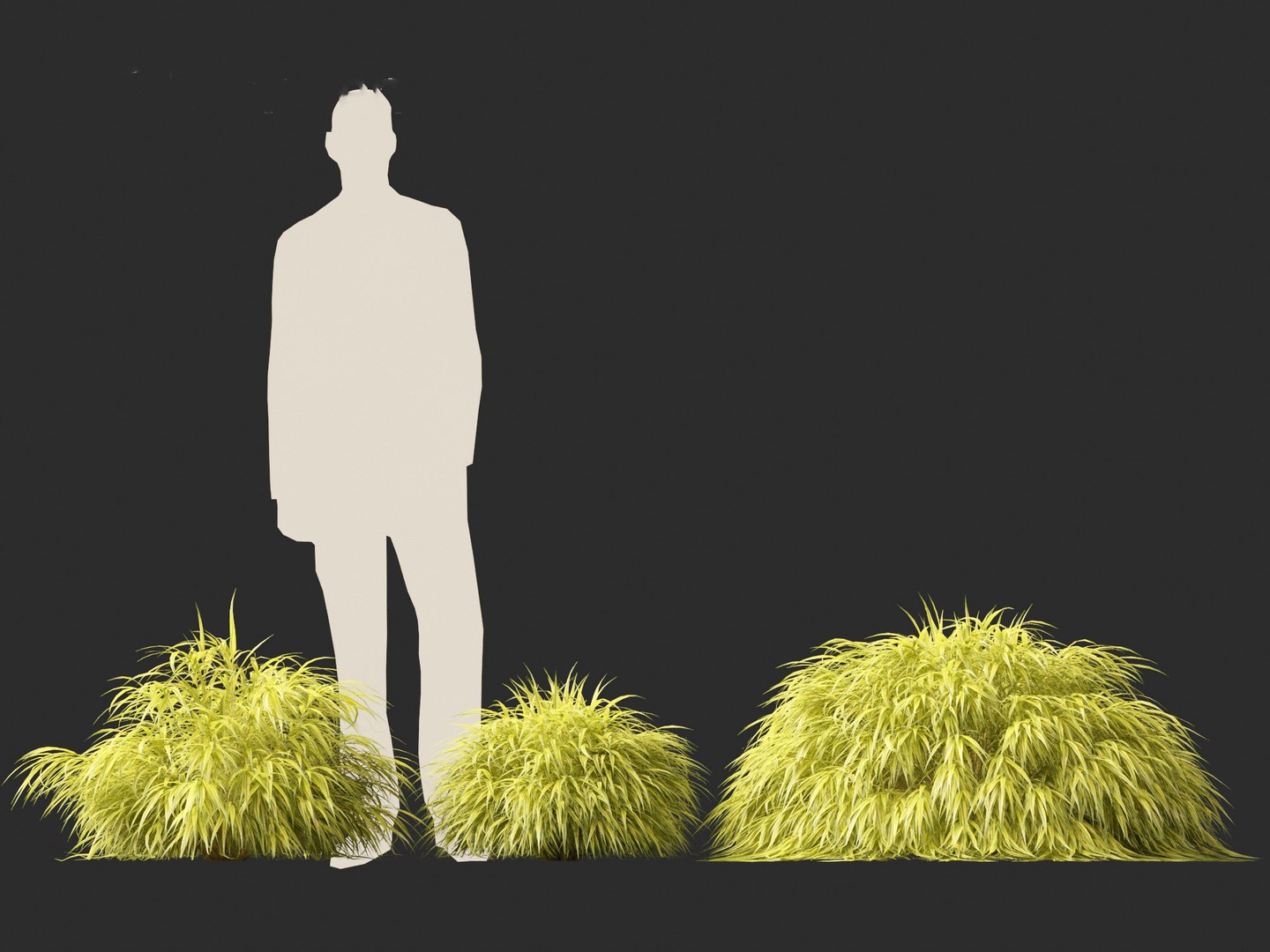 Hakonechloa macra - Green Forest Grass model https://p.turbosquid.com/ts-thumb/DR/Hzx7pv/wX/hakonechloamacra014/jpg/1693976564/1920x1080/fit_q87/25b3e53c96c2671da752fb7548170670ab5b7fa8/hakonechloamacra014.jpg