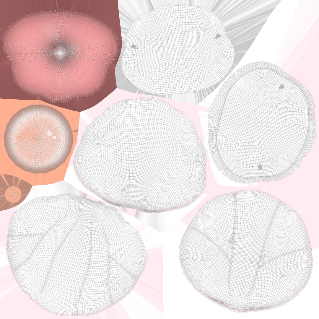 3D Open Clam Sea Shell 05 https://p.turbosquid.com/ts-thumb/DR/LPAYad/Xe/uv/png/1735364959/1920x1080/fit_q87/1d95e6d09ef4259dd2139b37dc2d9ec7aabd26ad/uv.jpg