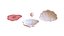 Coquillage ouvert 05