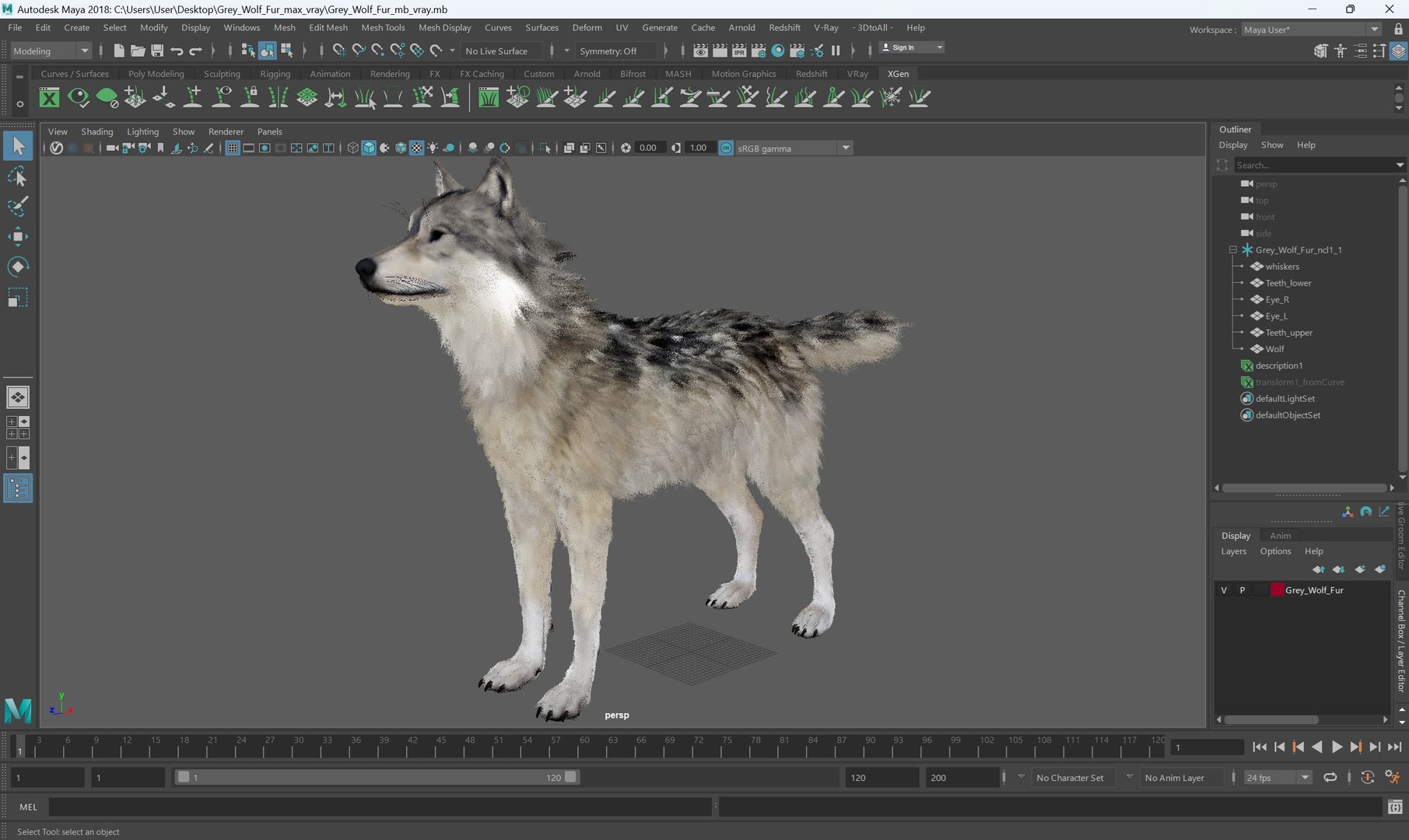 Grey Wolf Fur for Maya 3D model https://p.turbosquid.com/ts-thumb/DR/LnoS6e/6p/grey_wolf_fur_for_maya_1001/jpg/1745275527/1920x1080/fit_q87/4d31b0cc1cb859538c60369bee3a04fcefc108e0/grey_wolf_fur_for_maya_1001.jpg