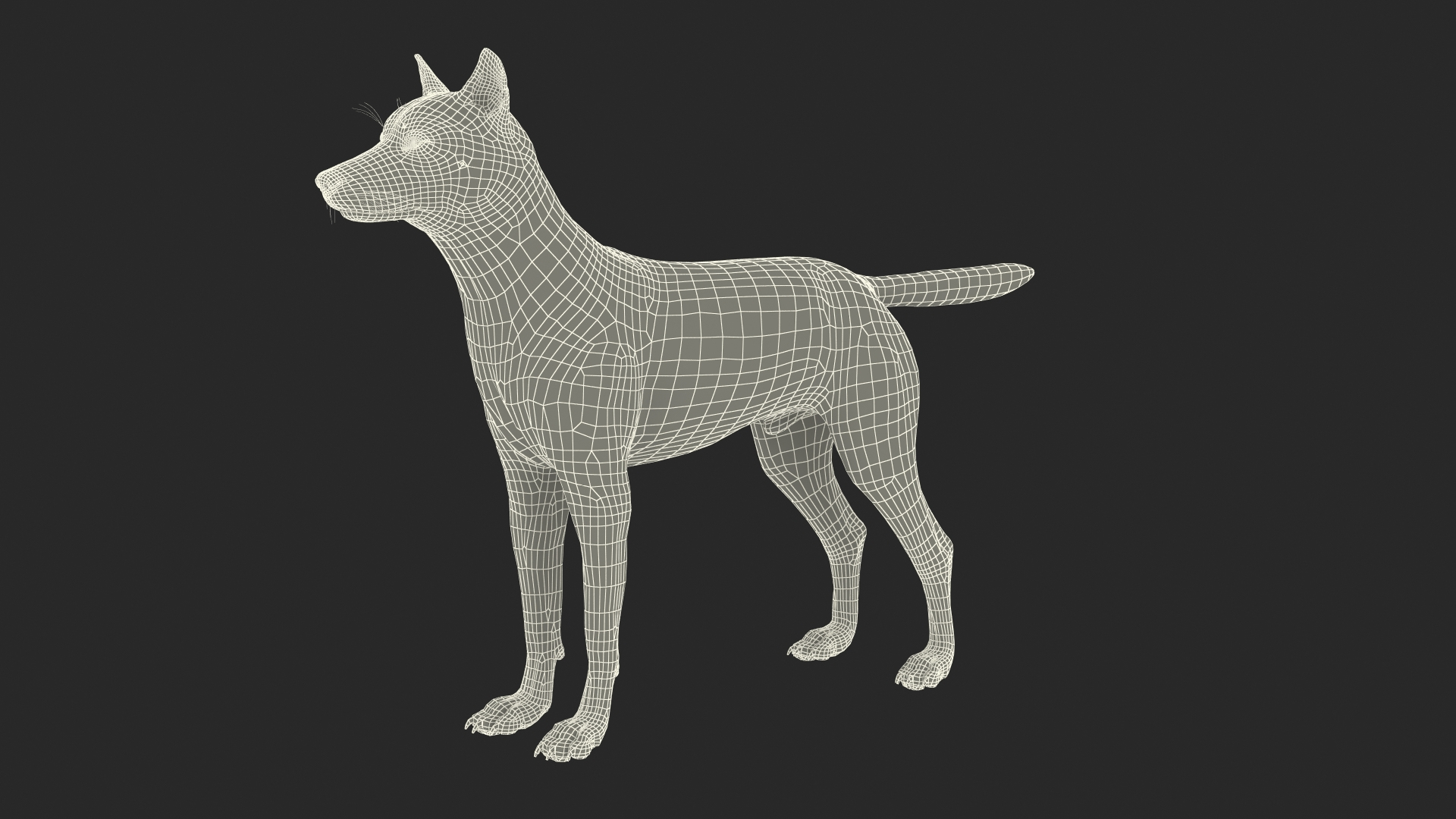 Grey Wolf Fur for Maya 3D model https://p.turbosquid.com/ts-thumb/DR/LnoS6e/B8/grey_wolf_fur_361/jpg/1745275126/1920x1080/turn_fit_q99/449ab154d8aafe905b452dbcdb3e9ee9a8a24edd/grey_wolf_fur_361-1.jpg