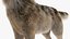 Grey Wolf Fur for Maya