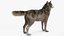 Grey Wolf Fur for Maya