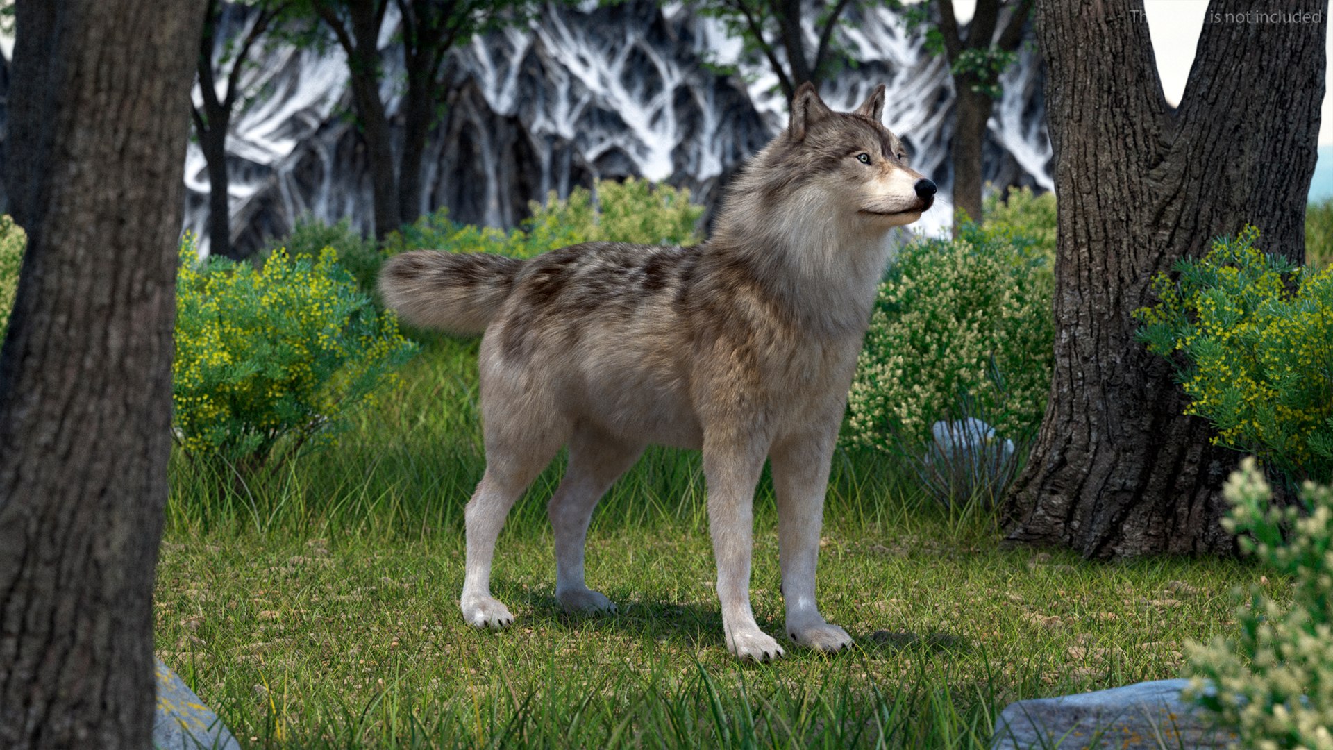 Grey Wolf Fur for Maya 3D model https://p.turbosquid.com/ts-thumb/DR/LnoS6e/UL/grey_wolf_fur_003/jpg/1745275394/1920x1080/fit_q87/83201b5e643f3dfc1c3791dfef84509768cdc1ad/grey_wolf_fur_003.jpg
