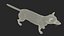 Grey Wolf Fur for Maya