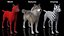 Grey Wolf Fur for Maya