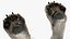 Grey Wolf Fur for Maya