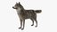 Grey Wolf Fur for Maya