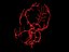 Brain Arteries