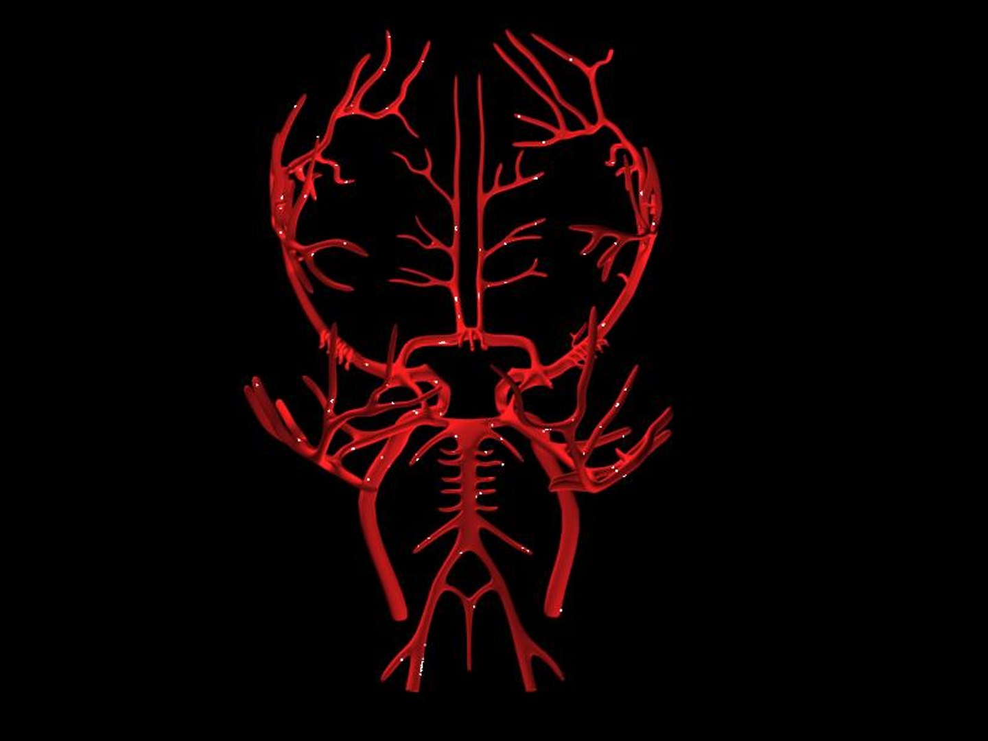 brain arteries 3ds https://p.turbosquid.com/ts-thumb/DR/OQFuN7/dXIYX8nT/scene4/jpg/1396532785/1920x1080/fit_q87/caa9d983d339cc40609a23c58b06b64ebcd8560f/scene4.jpg