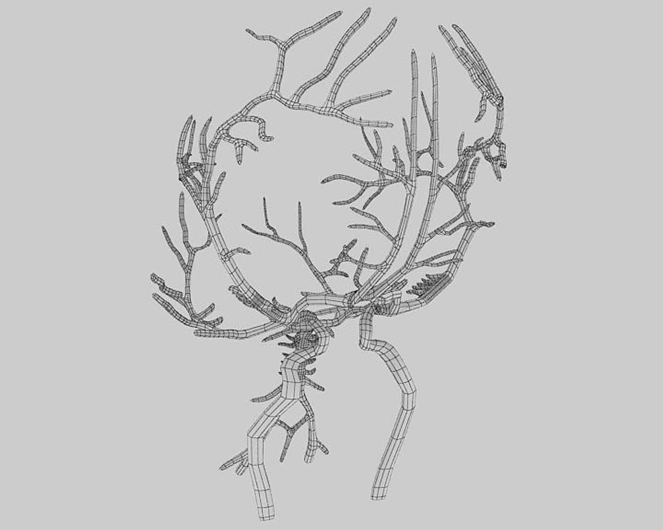 brain arteries 3ds https://p.turbosquid.com/ts-thumb/DR/OQFuN7/fnBfiq8f/wireframe01/jpg/1396532785/1920x1080/fit_q87/71253489d6f45eec5631d2ed6af48a044fc7e92c/wireframe01.jpg