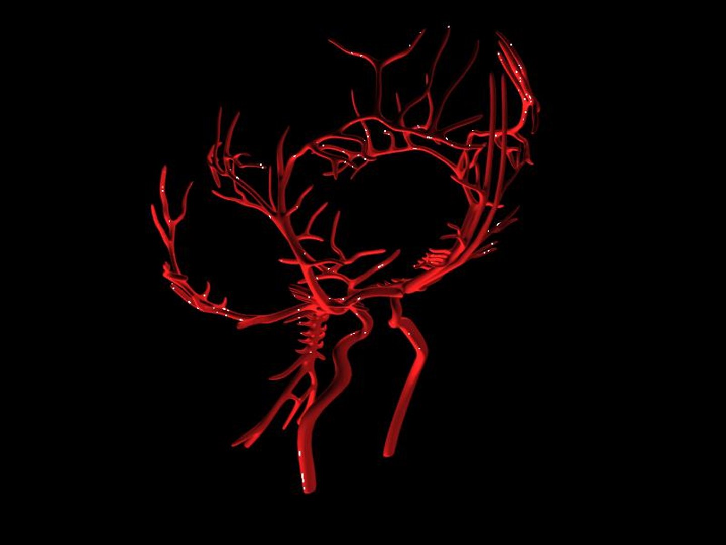 brain arteries 3ds https://p.turbosquid.com/ts-thumb/DR/OQFuN7/o8ZpciY8/scene2/jpg/1396532785/1920x1080/fit_q87/132ce86517510948528ad7e0c898843f740f6020/scene2.jpg