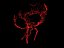 Brain Arteries