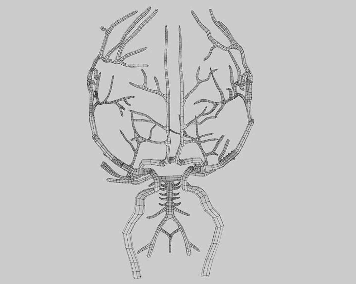 brain arteries 3ds https://p.turbosquid.com/ts-thumb/DR/OQFuN7/wZt9wQsq/wireframe02/jpg/1396532785/1920x1080/fit_q87/9679533c7fd64602fb68f183dd0822ed84a943c2/wireframe02.jpg